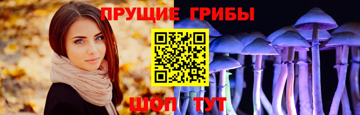 Галлюциногенные грибы GOLDEN TEACHER  Псилоцибиновые грибы Cubensis  Вязники  Вход с VPN 